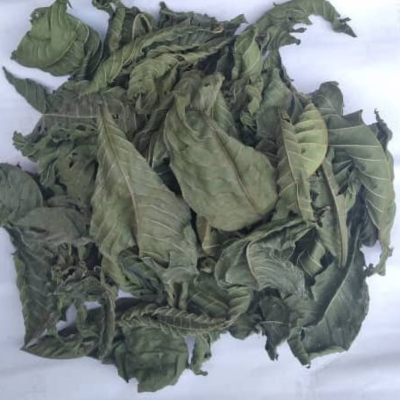 Psychotria colorata dried leaves
